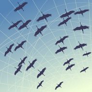 Square cartoon illustration flock of cranes