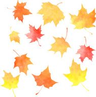 set of silhouettes by maple leaves in watercolor N5