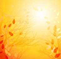 Autumn Background N156