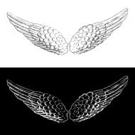 wings that kiss