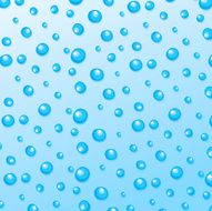 Moisture N2