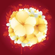 Flowers Composition N2