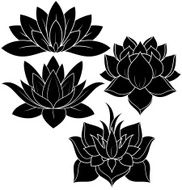 Lotus Silhouette N44