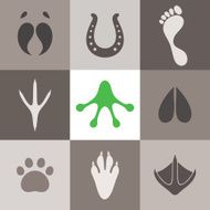 Paw Print N23