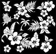 picture of Hibiscus N45