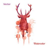 Watercolor deer head Vector on the white background
