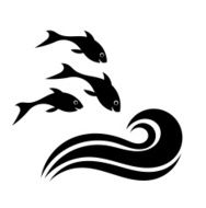 Fish jumping N2