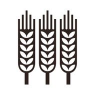 Wheat ear icon N2