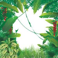 exotic tropical forest N6
