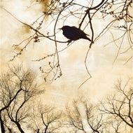 vintage illustration on old sepia paper