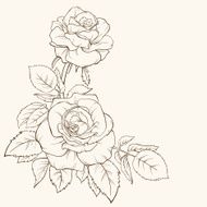 Rose flower Hand-drawn contour lines and strokes Element for design N6