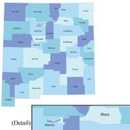 New Mexico state - county map