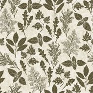 Seamless pattern with culinary herbs and spices Vector illustration