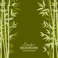 Bamboo forest card N8