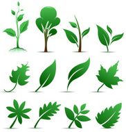 Nature Symbols N3