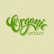 Title Organic Vector Handmade lettering N2