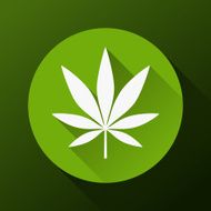 Cannabis Leaf N6
