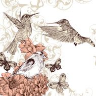 Vector background with birds and butterflies