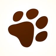 Wildlife Cartoon Trace