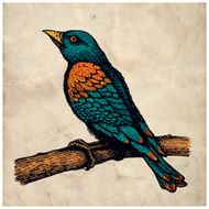 Bird On Branch N13