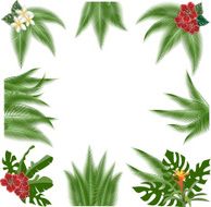 Tropical ornaments