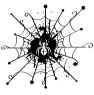 Spider N50