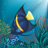 Tropical Fish N13