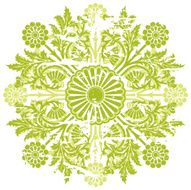 Abstract Grunge Floral Background N21