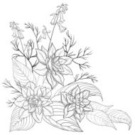 Flowers contours N2