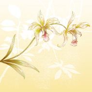 Orchids N4