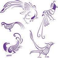 bird illustration N4