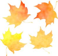 set of silhouettes by maple leaves in watercolor N6