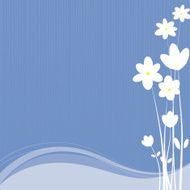 White flowers - Vector Illustration