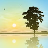 Lone Tree N14