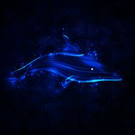 Neon dolphin N3