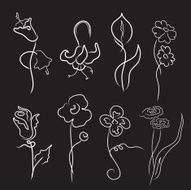 flowers Design Set N5