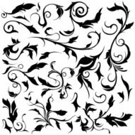flourish leafs