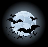 Bats and Moon vector illustration