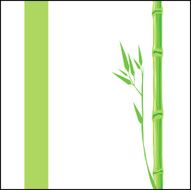 green flora N16
