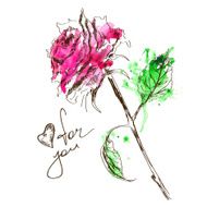 Sketch and watercolor rose