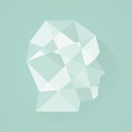 Male head icon Low poly style Flat design N2