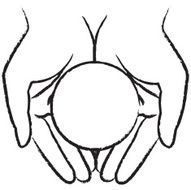 Hands N120