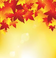 fall background N10