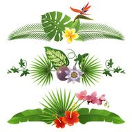 Tropical borders