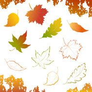autumn leaves N120