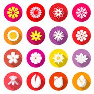 Flower Colorful Icons Blossom Vector