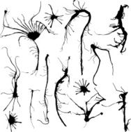 stains catalogue III