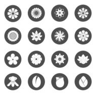 Flower Icons Blossom Vector