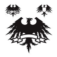 Black Eagle N6