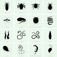 Human parasites